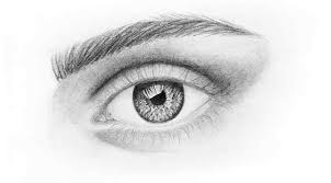 We would like to show you a description here but the site won't allow us. Hoe Een Realistisch Oog Te Tekenen Ontwerp Illustratie Website Ontwikkeling Computerspellen En Mobiele Applicaties