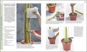 Cacti flowers of the holiday cactus varieties (including thanksgiving and easter cactus) need different holiday cactus are not like desert cactus. Rhs Practical Cactus And Succulent Book How To Choose Nurture And Display More Than 200 Cacti And Succulents By Dk 9780241341148 Booktopia