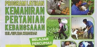 Institut pertanian stiper (instiper) jogjakarta adalah perguruan tinggi di indonesia yang berorientasi pada pengembangan perkebunan. Permohonan Program Latihan Kemahiran Pertanian Kebangsaan 2021 Plkpk Online