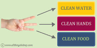 We also have information about kidney health. Hygiene In A Kidney Friendly Kitchen All Things Kidney Official