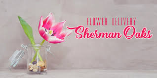 Check spelling or type a new query. The 8 Best Options For Flower Delivery In Sherman Oaks 2021