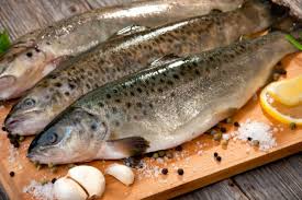 Maka dari itu, ikan ini tidak dimakan. 7 Jenis Ikan Yang Tidak Seharusnya Dikonsumsi Money Id