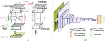 We meet 'whacko' who was rescued from. Deep Learning For Generic Object Detection A Survey Springerlink