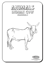 This coloring book not only entertain your child for a long time but also lets to discover and develop art skills. Indian Cow Coloring Page Cool Coloring Pages Cow Coloring Pages Cool Coloring Pages Coloring Pages