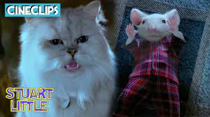 Snowbell Threatens Stuart | Stuart Little | CineClips - YouTube