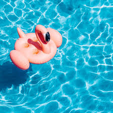 24+ cute summer wallpaper for ipad. Download Wallpaper 1280x1280 Pool Water Flamingo Summer Ipad Ipad 2 Ipad Mini For Parallax Hd Background