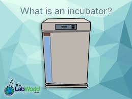 نتیجه جستجوی لغت [incubator] در گوگل