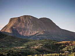 Image result for Exacum zombense