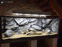 3d aquarium background printable is a printable 3d aquarium background that features images of deep underwater life. 37 3d Aquarium Backgrounds Ideas In 2021 Aquarium Backgrounds Aquarium Background Diy