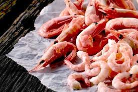 Cold-Water Prawns