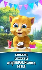 Windows 10 Icin Konusan Kedi Oyunu Konusan Ginger 2 Indir Windows10um Com