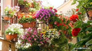 Immagini sfondo del desktop libero. Spello In Fiore Finestre Balconi Vicoli Fioriti 2019 4k Youtube
