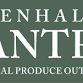 Penhale Pantry Pumpkin Picking event in Liskeard