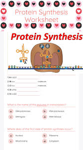 Unlike dna replication, in which both strands are copied, only one strand is transcribed. Protein Synthesis Worksheet Interactive Worksheet By Carly Lide Wizer Me