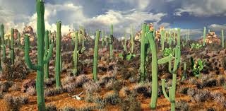 Maybe you would like to learn more about one of these? Mexico The Cactus Democracy