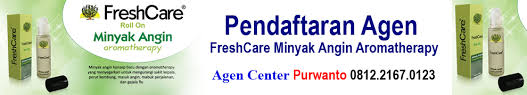Contoh iklan baris lowongan pekerjaan : Minyak Angin Freshcare Minyak Angin Aromatherapy Dicari Agen