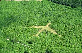 Resultado de imagen de land art