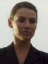 Die Magie der Pferde