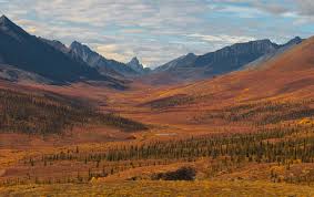 Check spelling or type a new query. 2017 Fly In Fall Colour Workshop Deep Into Tombstone Territorial Park Kevin Pepper Photography