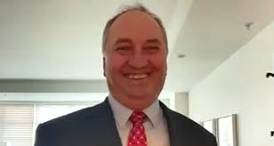 Barnaby Joyce shares health update after testing positive to COVID-19  overseas