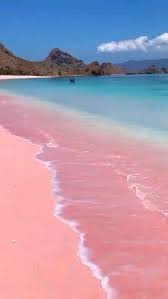 Pink Beach In Komodo Island Pinterest