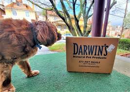 Includes product analysis, ingredient lists, nutritional breakdown and calorie counts. Unbiased Darwin S Dog Food Review 2021 We Re All About Pets