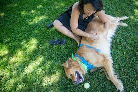 In this post, i share i've been dancing around the idea of becoming a vegetarian (or pescatarian) for several years. The Vegan Dog The New York Times