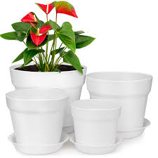 Indoor wall planters and hanging pots are both great ways to incorporate plant life into your home without having to take up any table or space. Homenote 7 6 5 4 Inch Plastic Planters Indoor Set Of 4 White Plant Pots With Drainage Trays Modern Round Flower Pots For House Plants Succulents Flowers Buy Online In Canada At Canada Desertcart Com Productid 129872618