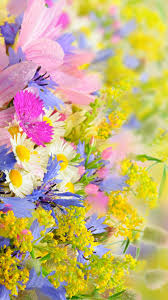 Maybe you would like to learn more about one of these? Flower Iphone 6s Wallpaper Hd Wallpaper