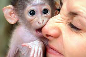 Fun & Info @ Keralites.net