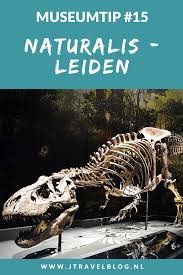 Naturalis In Leiden In 2020 Stedentrip Reizen Geologie