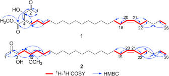 Image result for Illigera pentaphylla