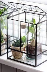 decoratie mensen met groene vingers opgelet de bodem van deze plantenkas is 20 x 23 centimeter groot en biedt plaats aan verschi planten decoratie interieur