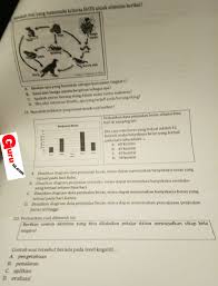Sebenarnya, kunci jawaban dari sejumlah contoh soal assessment online yang sering digunakan oleh para pencari contoh soal assessment juga sudah dimiliki oleh para psikolog. Soal Post Test Pkp 2019 Info Pendidikan Terbaru