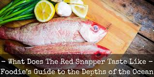 What Does Red Snapper Fish Taste Like