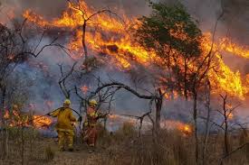 Últimas noticias de incendios en córdoba. Incendios Forestales El Fuego Ya Afecta A 14 Provincias Informe Politico