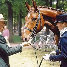 She rode bella rose 2 (by bellissimo) for this and immediately announced that this championship was the last competition of her top mare. Fruhlingserwachen Auf Dem Schwartze Hof Der Familie Baumgart In Dohlbergen Verden