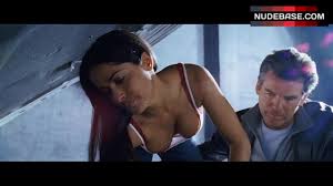 Salma Hayek Hot Scene – After The Sunset (0:31) | NudeBase.com