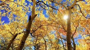 Administraţia naţională de meteorologie are ca principală responsabilitate protecţia vieţii oamenilor şi a bunurilor materiale prin transmiterea de prognoze şi avertizări meteo, prognoze privind dispersia poluanţilor atmosferici pentru situaţii de producere a fenomenelor meteorologice periculoase şi poluări. Prognoza Meteo August Octombrie Cum Va Fi Vremea La Inceput De ToamnÄ Antena 3