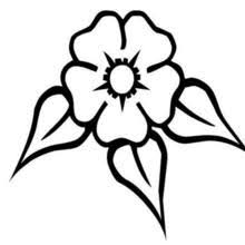 2) à partir du centre du rectangle, tracez une ligne verticale et une ligne horizontale divisant la forme manière dessinez des lignes qui serviront de guides pour les tiges et les feuilles. Image De Fleur Fleur De Tiare Dessin Facile