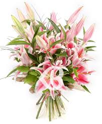 Cumpără de pe flori.ro buchet sinceritate imperială crini imperiali. Poze Blog Imagini Cu Flori Crini