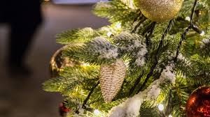 Впервые живую ель на соборной площади кремля установили в декабре 1996 г. Kak Prazdnuyut Novyj God V Rossii