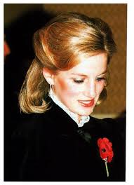 Pin On Diana Princess Of Wales