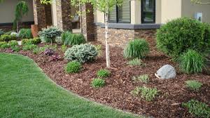 Maybe you would like to learn more about one of these? Pine Bark Is The Ultimate Mulch