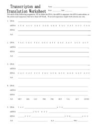 If several sequences might work choose any one. Extra Cr Transcription And Translation Worksheet