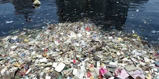 Contoh dari sampah alam adalah daun kering di hutan yang terurai menjadi tanah. 11 Jenis Jenis Sampah Berdasarkan Sifat Bentuk Dan Sumbernya Merdeka Com