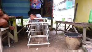 Cara mengatasi lovebird nebok lainnya : Tebok Sangkar Dari Paralon By Andhyezt Bugis