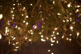 Background Bokeh Christmas Christmas Decoration Christmas Lights Dark Deep Gold Green Background Hd Wallpaper Wallpaper Backgrounds Christmas Lights