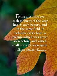 To The Attentive Eye Each Moment Of The Year Has Its Own Beauty And In The Same Field It Beholds Every Nature Quotes Emerson Quotes Nature Quotes Adventure