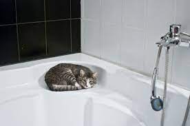 All brands marked with the program's green seal are made without 32 types of chemicals. 4 Effective Ways To Clean Your Bathroom Without Chemicals Urban Blog